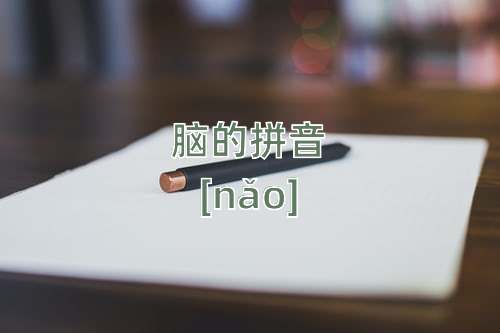 脑怎么读脑的拼音和解释