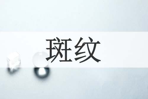 斑纹