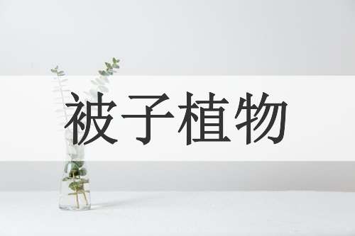 被子植物