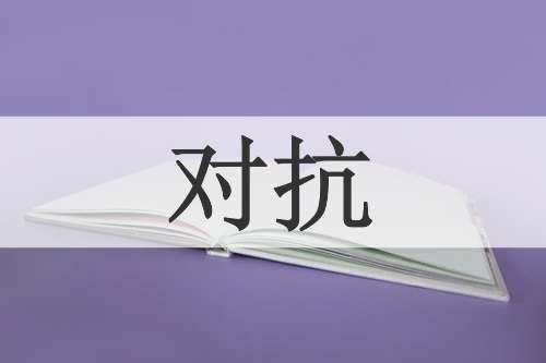 对抗