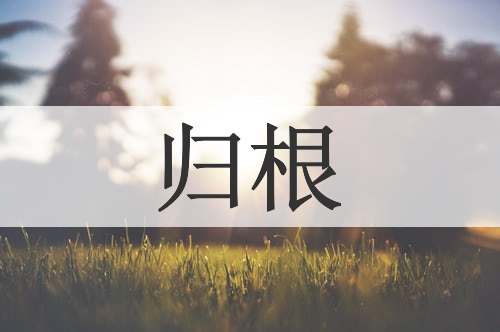 归根