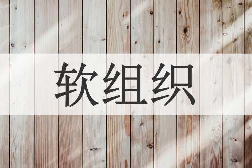 软组织