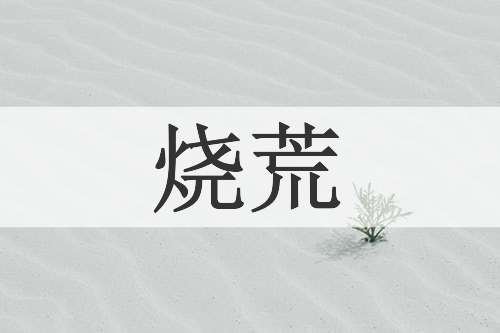 烧荒