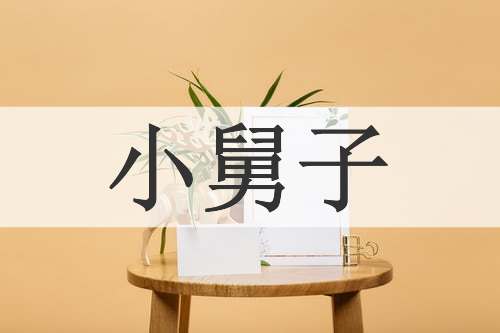 小舅子