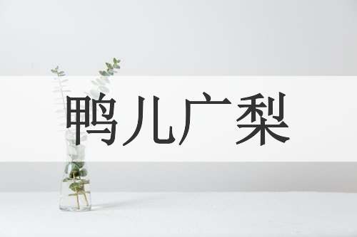 鸭儿广梨