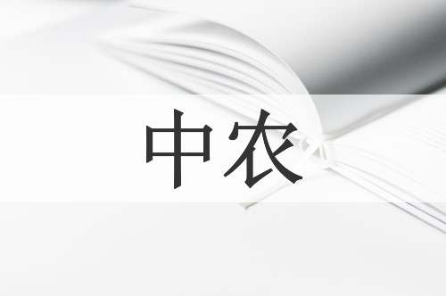 中农