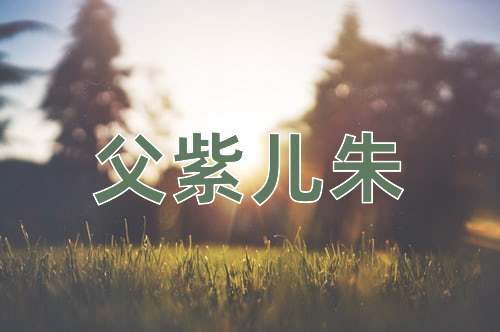 成语父紫儿朱