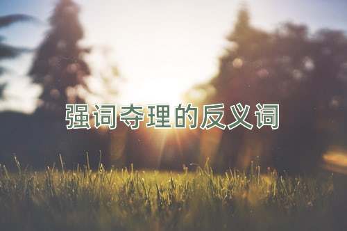 强词夺理的反义词