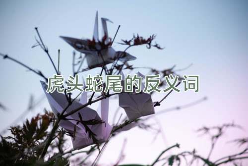 虎头蛇尾的反义词