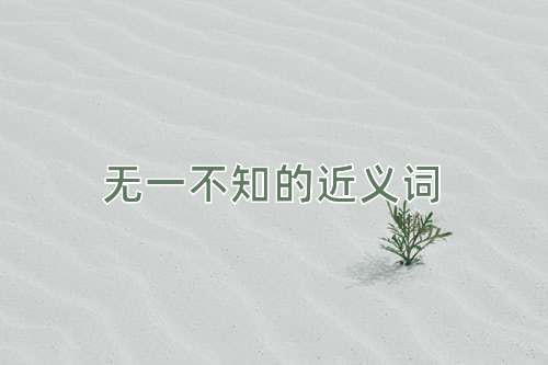 无一不知的近义词