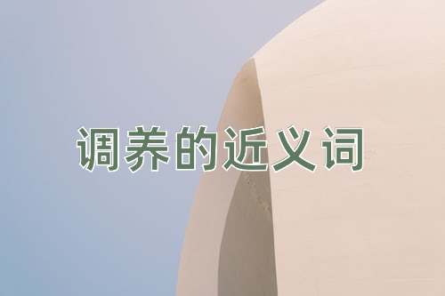 调养的近义词