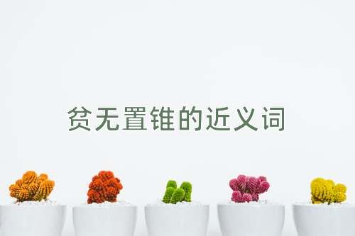 贫无置锥的近义词