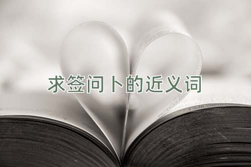求签问卜的近义词