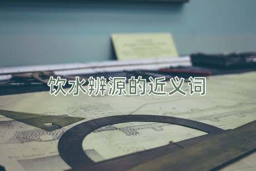 饮水辨源的近义词