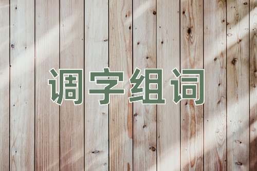 调字组词