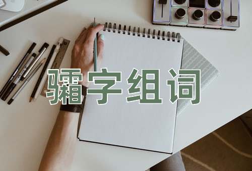 骦字组词